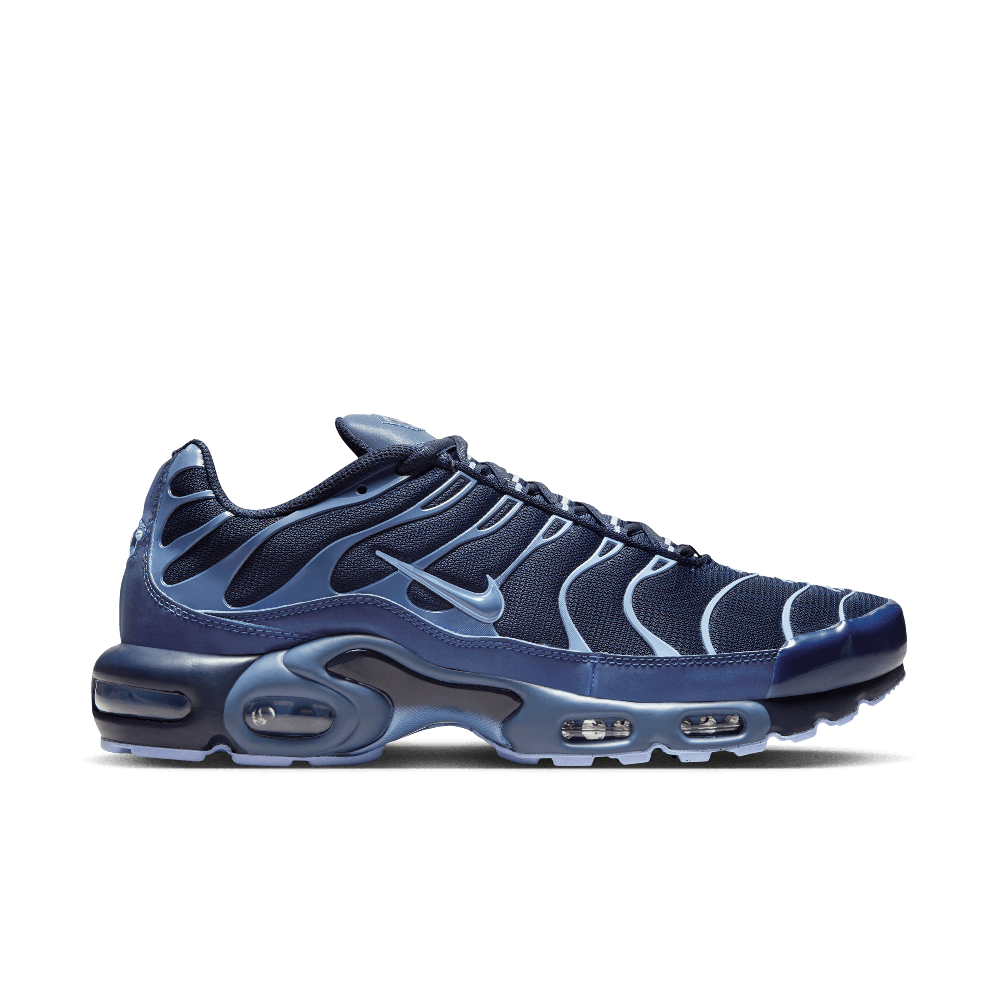 Nike Air Max Plus Obsidienne Aluminium
