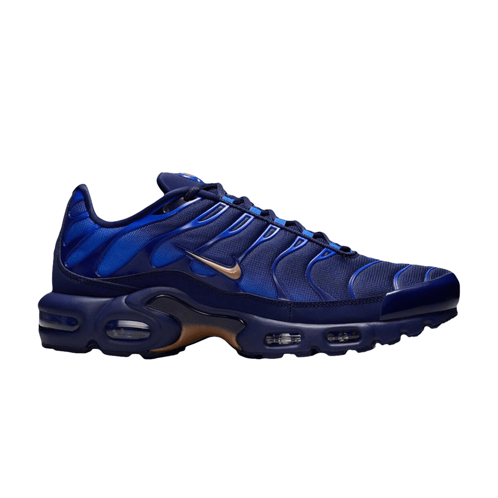 Nike Air Max Plus Fédération Française de Football
