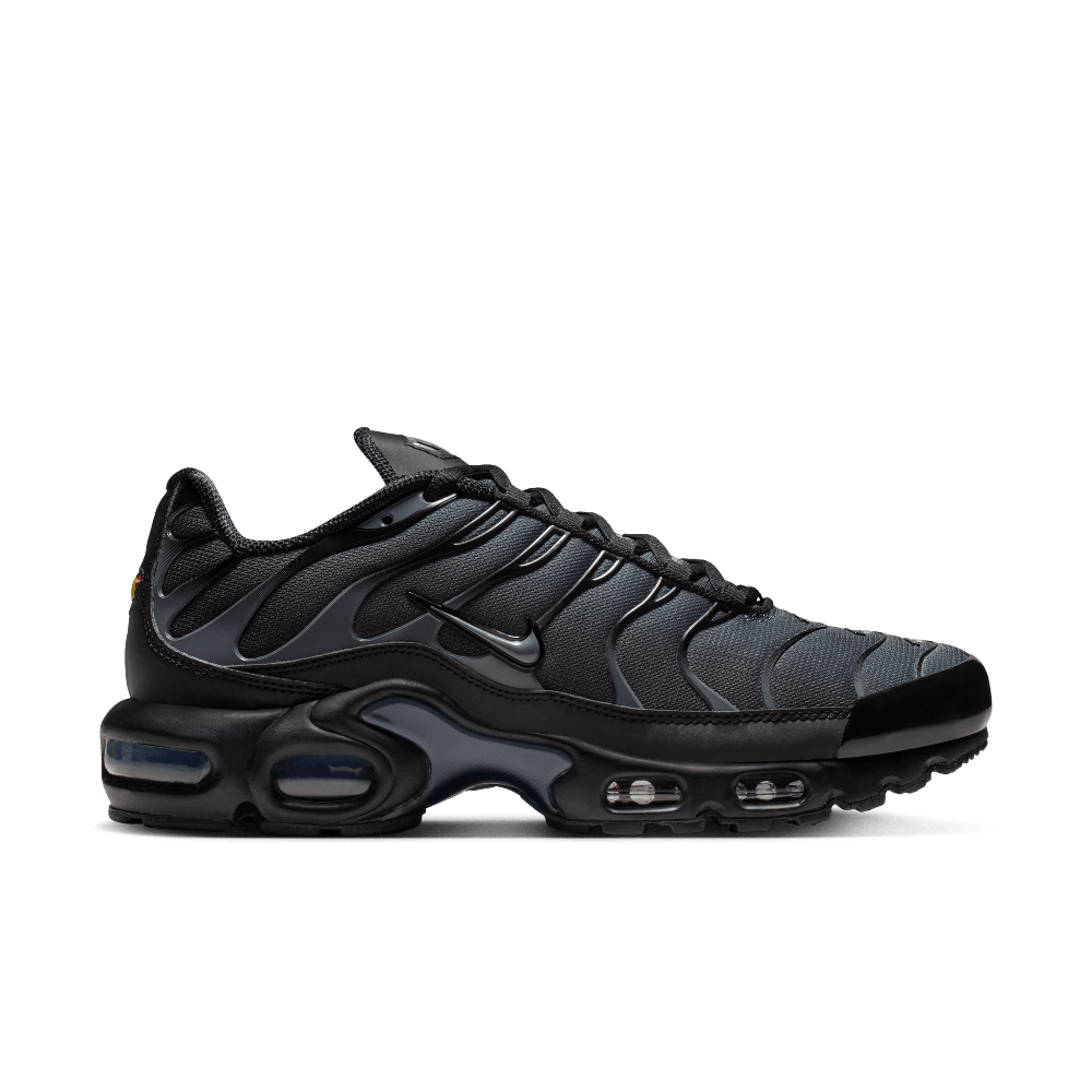 Nike Air Max Plus Black Metallic Silver (Femme)
